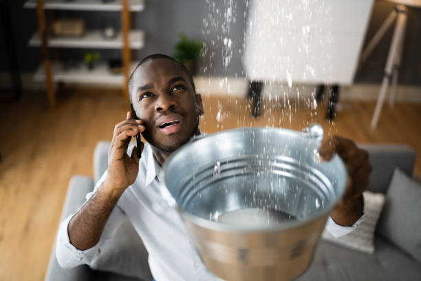 Best 24/7 water damage repair  in Belmont, MS