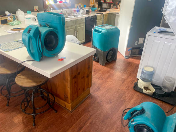 Trusted Belmont, MS Water damage restoration Experts