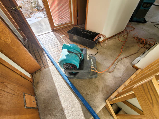 Sewage cleanup and water damage restoration in Belmont, MS
