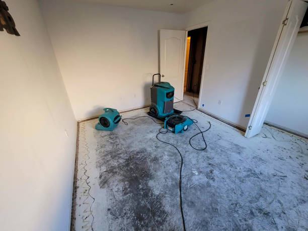 Best Water damage cleanup near me  in Belmont, MS