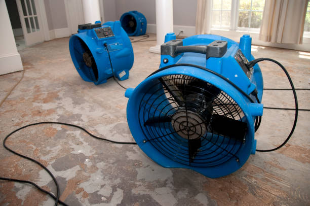 Water damage restoration experts in Belmont, MS