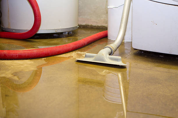 Best Mold removal after water damage  in Belmont, MS