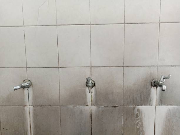 Best Water damage restoration near me  in Belmont, MS