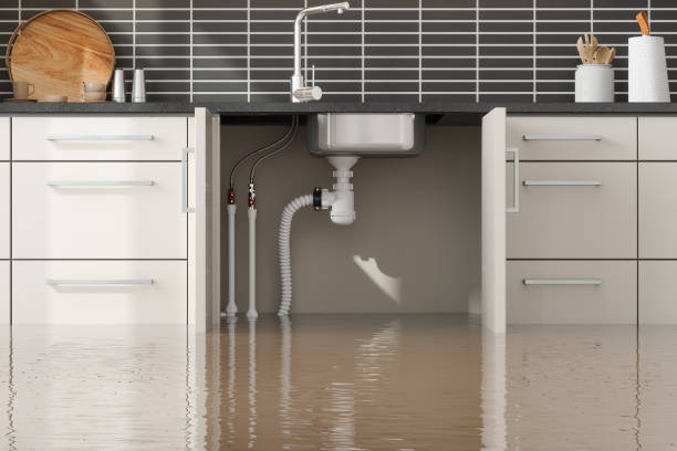 Best Flood restoration services  in Belmont, MS