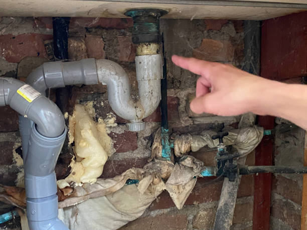 Best Local water damage restoration  in Belmont, MS