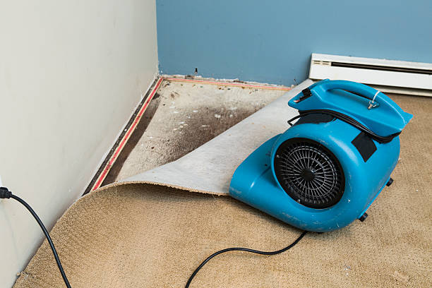 Best Water damage restoration process  in Belmont, MS